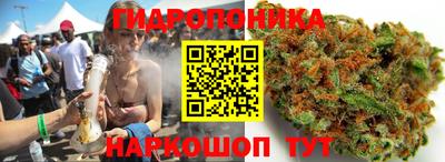 крисы Уссурийск