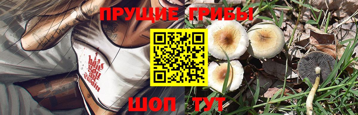 Галлюциногенные грибы ЛСД  Вход с VPN  Тавда  Галлюциногенные грибы мицелий 
